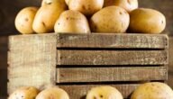 احذر تخزين البطاطس بهذه الطريقة تؤدي للتسمم وهذه الطريقة الصحيحة للتخزين