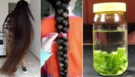 لشعر كالهنديات.. خلطة تطويل الشعر للركبه بمكونات طبيعية ورخيصة الثمن