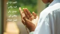 دعاء جلب الرزق.. افضل أدعية طلب الرزق من السنة النبوية