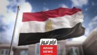 كم دخل السوبر ماركت اليومي في مصر وبعض النصائح لزيادته