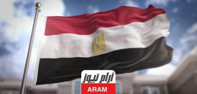 كم دخل السوبر ماركت اليومي في مصر وبعض النصائح لزيادته
