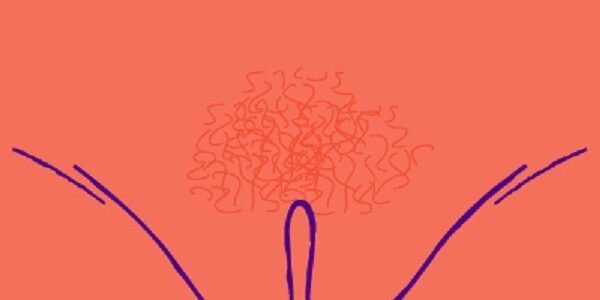 أسماء أنواع المهبل كاملة واحجامها بالصور