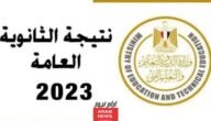 “صدرت رسميا√” رابط نتيجة الثانوية العامة الدور الثاني برقم الجلوس 2023 موقع وزارة التربية moe.gov.eg