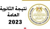 “صدرت رسميا” رابط نتيجة الدور الثاني للثانوية العامة 2023 برقم الجلوس