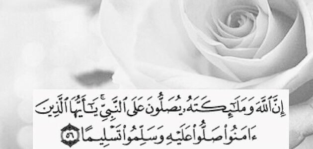 عبارات سنابيه خواطر 30 عبارات سنابية رائعة