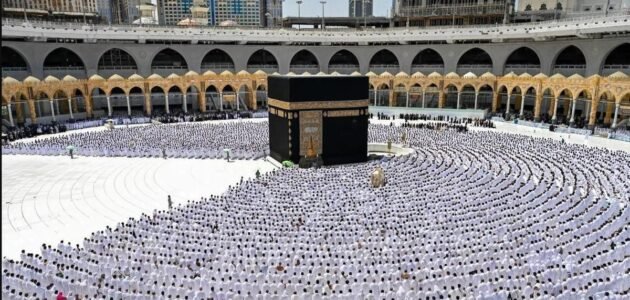 نتائج تقييم شركات حجاج الداخل والخارج من وزارة الحج والعمرة