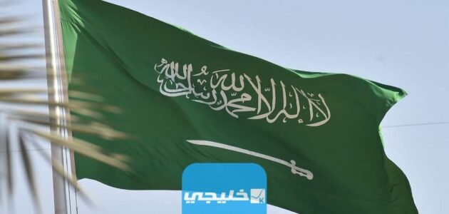 كيفية الاستعلام عن قيمة فاتورة الكهرباء بكل سهولة في ثواني مجانا 1 كيفية الاستعلام عن قيمة فاتورة الكهرباء بكل سهولة في ثواني مجانا