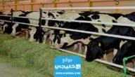 موعد صرف اعانة مربي المواشي في السعودية 1445/2023
