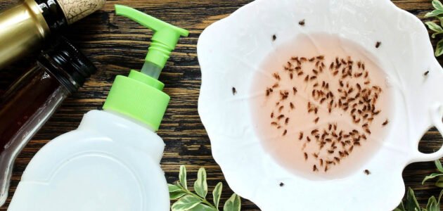 وداعًا للحشرات المزعجة بدون مبيدات تخلصي من الذباب بهذه الطريقة الرائعة