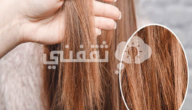 وصفة طبيعية للشعر الهائش والمقصف،الأسباب والطريقة