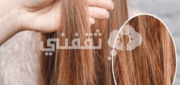 وصفة طبيعية للشعر الهائش والمقصف،الأسباب والطريقة