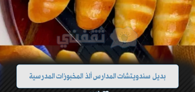 بديل سندوتشات المدارس ألذ المخبوزات المدرسية هش وخفيفة بحشوات متنوعة 1 بديل سندوتشات المدارس ألذ المخبوزات المدرسية هش وخفيفة بحشوات متنوعة