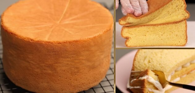 طريقة عمل كيكة اللبن الرايب ألذ وأطري كيك ستتذوقيه في حياتك 1 طريقة عمل كيكة اللبن الرايب ألذ وأطري كيك ستتذوقيه في حياتك