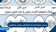 تسمى عملية انقسام النواة إلى نواتين متماثلتين