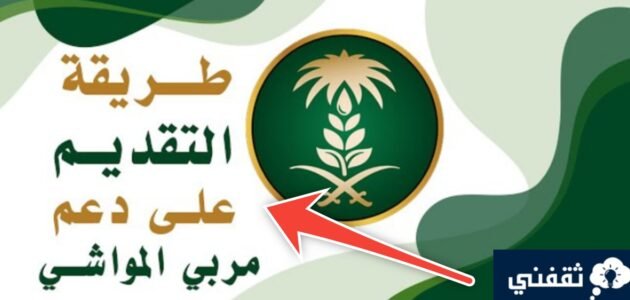 شروط الحصول على دعم المواشي وكيفية التسجيل للرجال والنساء 1445