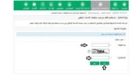 الاستعلام عن رصيد الجوازات عبر أبشر وموقع المديرية العامة للجوازات