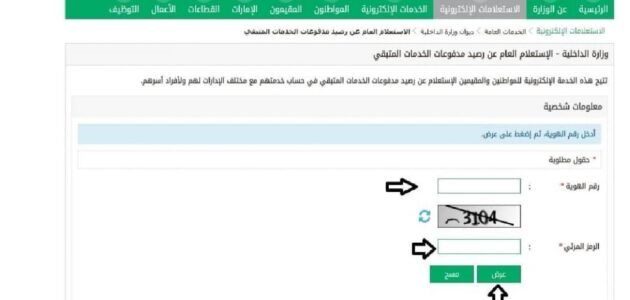 الاستعلام عن رصيد الجوازات عبر أبشر وموقع المديرية العامة للجوازات