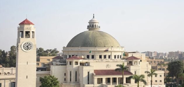 متاح الآن.. لينك نتيجة معادلة كلية التجارة 2023 ورابط الاستعلام عبر الموقع الرسمي لكلية التجارة