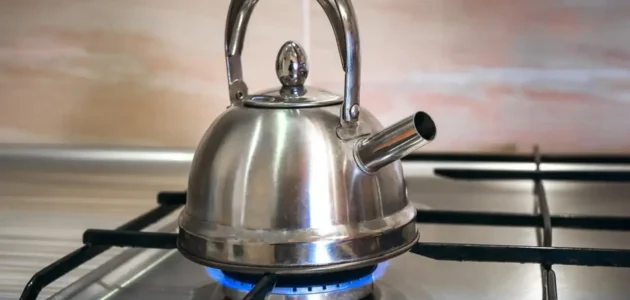 طريقة تنظيف غلاية الشاي وإعادتها كالجديدة واستمتعي بمذاق الشاي الأصلي 1 طريقة تنظيف غلاية الشاي وإعادتها كالجديدة واستمتعي بمذاق الشاي الأصلي