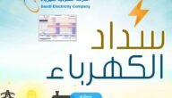 كيفية سداد فاتورة الكهرباء الكترونيا في السعودية 1445