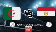 نتيجة مباراة مصر والجزائر كرة طائرة اليوم بنهائي البطولة الأفريقية 2023