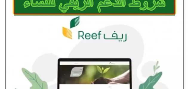 كم مبلغ دعم ريف للسمن 1445 وطريقة الحصول عليه