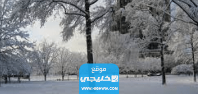 الشتاء متى يجي 2023 – 1445 كم باقي على الشتاء