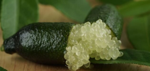 الكيلو ب 7 ألاف جنيه تعرف على أغلى فاكهة في العالم 1 الكيلو ب 7 ألاف جنيه تعرف على أغلى فاكهة في العالم