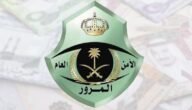 دورات معهد التدريب النسوي بالأمن العام 2023