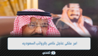 أمر ملكي عاجل من الملك سلمان بن عبد العزيز بخصوص الرواتب