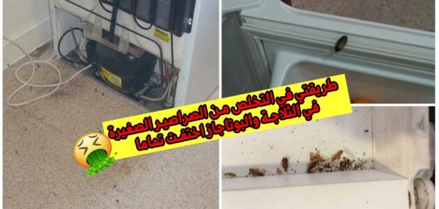 طريقتي في التخلص من الصراصير الصغيرة في الثلاجة والبوتاجاز اختفت تماما 1 طريقتي في التخلص من الصراصير الصغيرة في الثلاجة والبوتاجاز اختفت تماما
