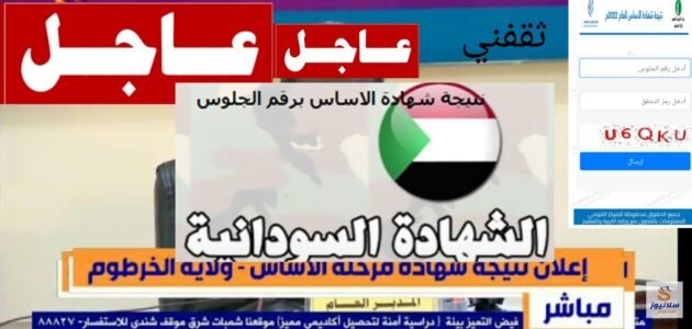 لينك نتيجة شهادة الأساس 2023 جميع الولايات السودانية