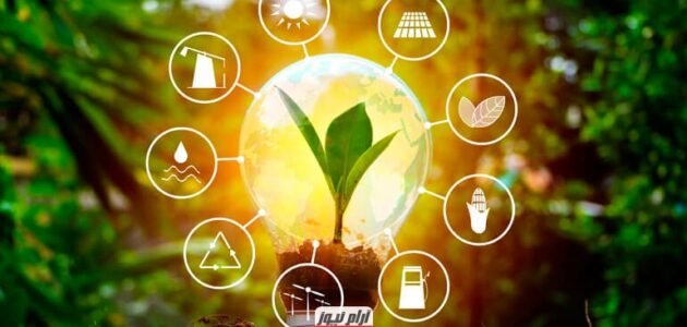 تخصص هندسة الطاقات المتجددة: الوظائف، المستقبل، وأفضل الجامعات
