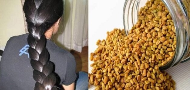 سينمو كالمجنون.. الحلبة وزيت الزيتون لتطويل الشعر وتكثيفه ومنع تساقطه 1 سينمو كالمجنون.. الحلبة وزيت الزيتون لتطويل الشعر وتكثيفه ومنع تساقطه