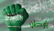 في انتظار اليوم الوطني.. موعد بداية ونهاية عروض اليوم الوطني 93