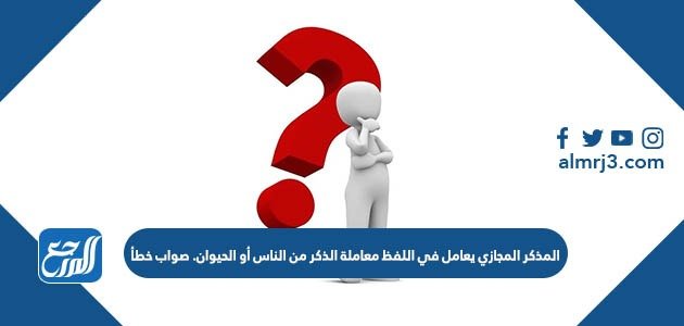 المذكر المجازي يعامل في اللفظ معاملة الذكر من الناس أو الحيوان. صواب خطأ – خليجنا