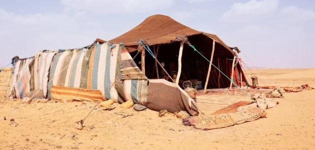 نسب عائلة الجميعي وش يرجع وأصل الجميعي من وين