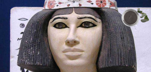 اكتشف كيف اهتمت ملكات الفراعنة بصحة وجمال شعرهن لآلاف السنين