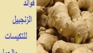 تجربتي مع الزنجبيل للحمل وعلاج تكيسات المبايض