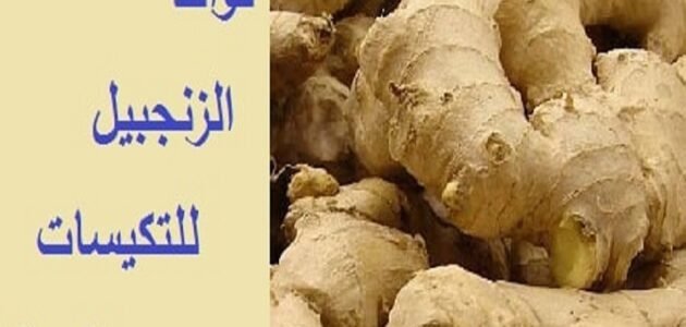 تجربتي مع الزنجبيل للحمل وعلاج تكيسات المبايض