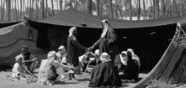 الشنيفي وش يرجعون وما نسب وأصل الشنيفي